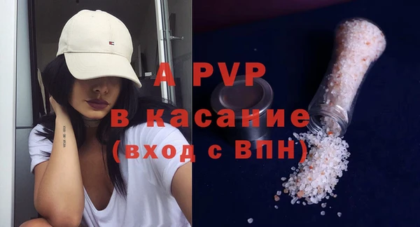 винт Ельня