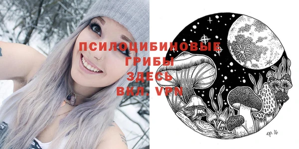 винт Ельня