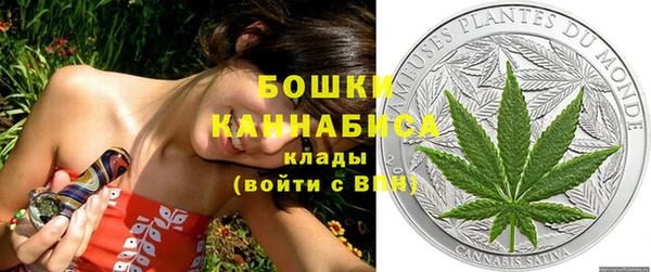 винт Ельня